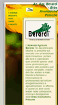 Mobile Screenshot of berardierbe.com